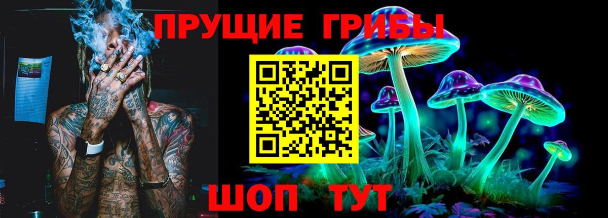 Коряжма  Галлюциногенные грибы Psilocybe  Вход с VPN 